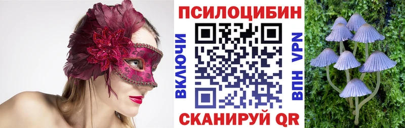 что такое наркотик  Отрадное  Галлюциногенные грибы Psilocybine cubensis 